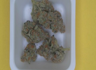 Photograph of product: Fatso OG smalls 14g