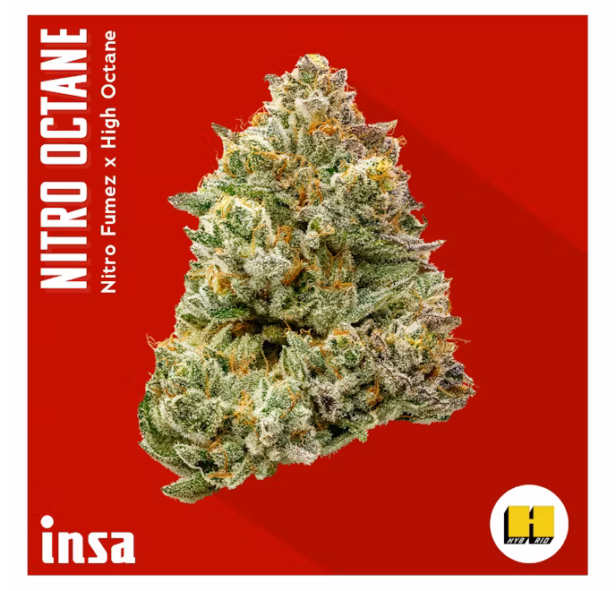 Photograph of product: Nitro Octane Pre-Roll 1.0g