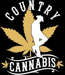 Photograph of Product: Country Cannabis - Infused Pre Roll - Apricot S - 1g
