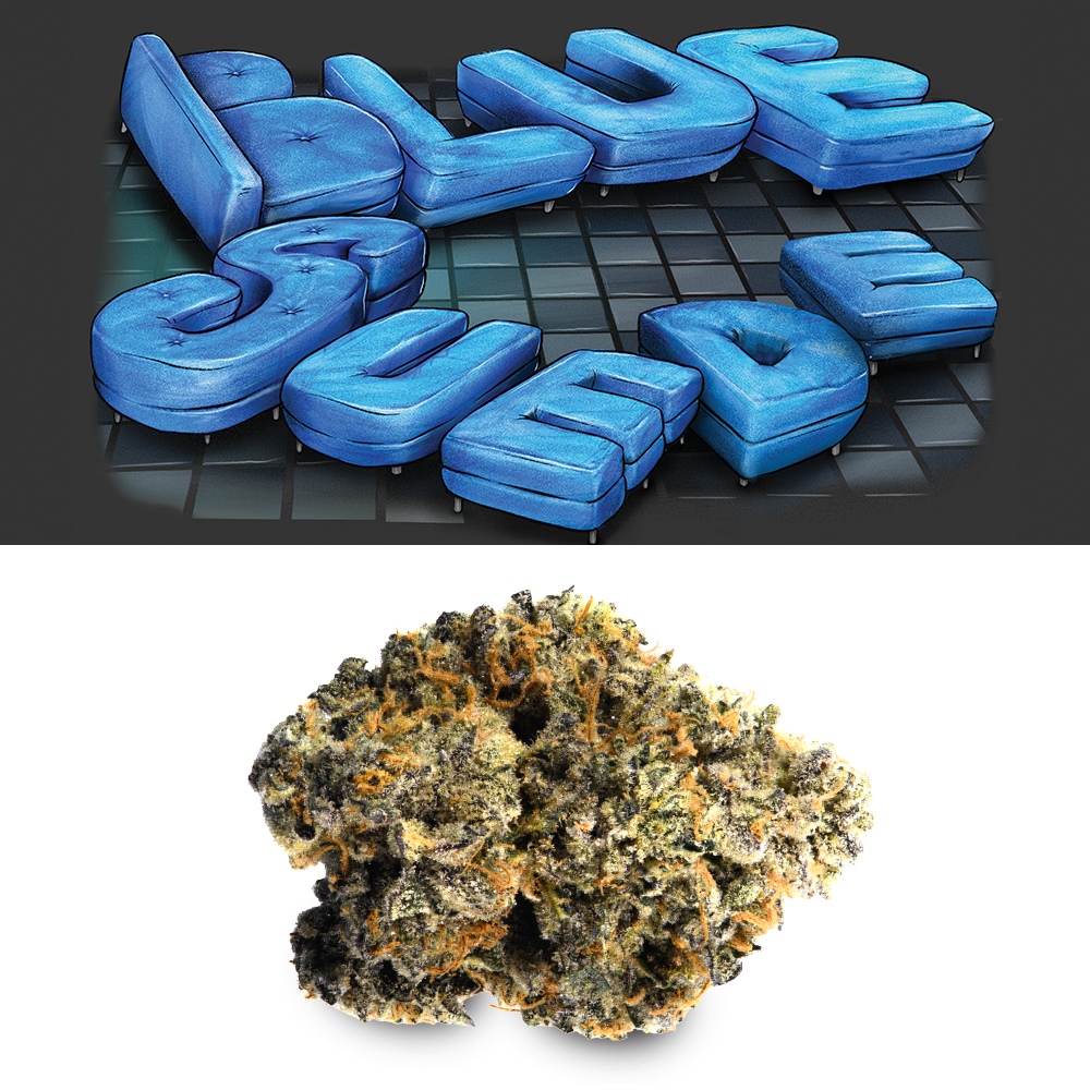 Photograph of product: Cookies - Blue Suede - 3.5g Flower