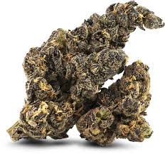 Photograph of product: OG Gardens - Drippin Ain't Easy (22%) - 1g