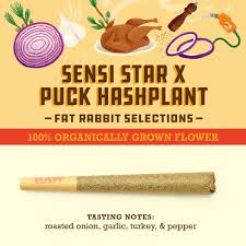 Photograph of product: Sensi Star x Puck au chocolatplant | Living Soil Grown | Single Pre-Roll | 1g