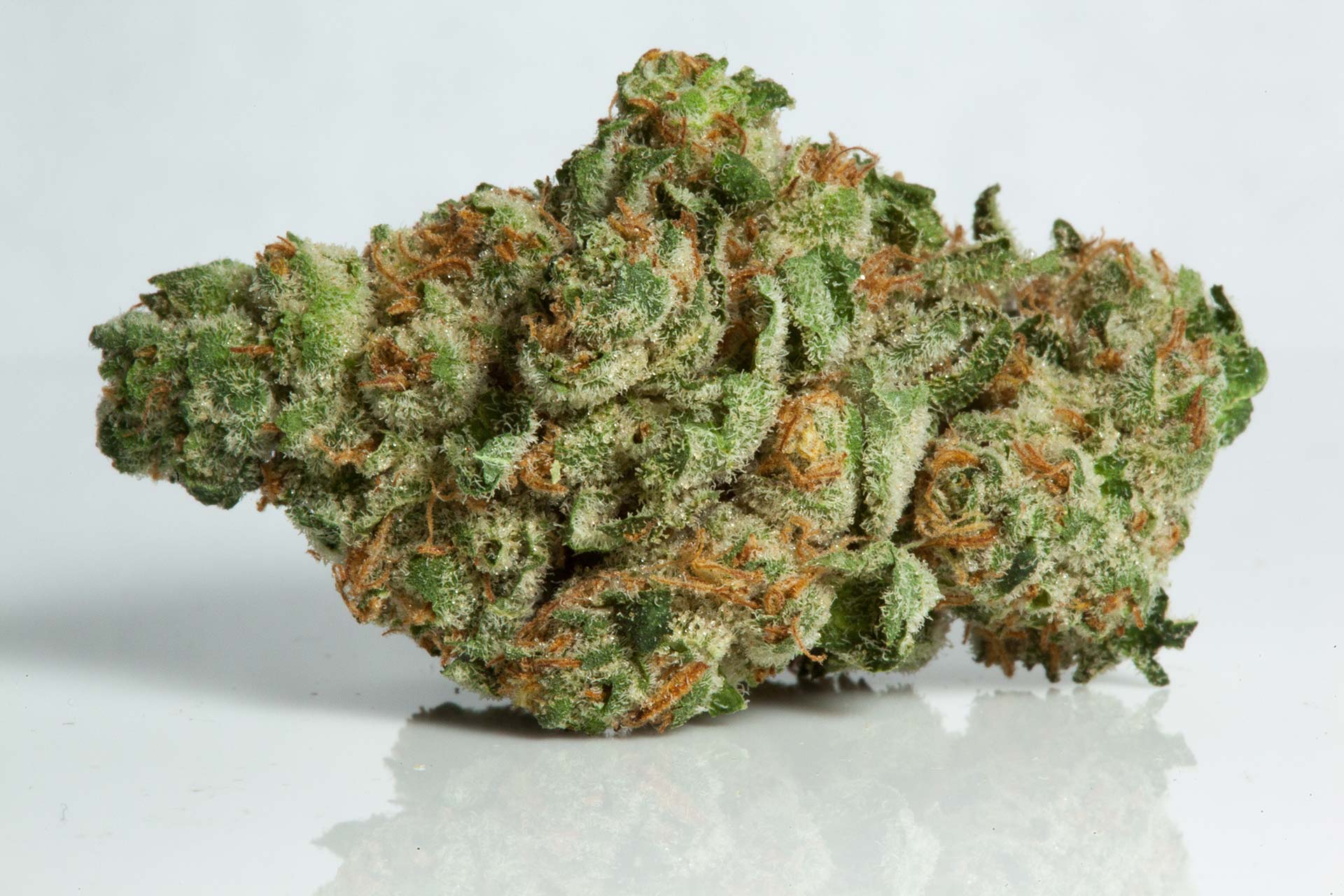 Photograph of product: Equinox Pink Zkittlez Flower - 28g