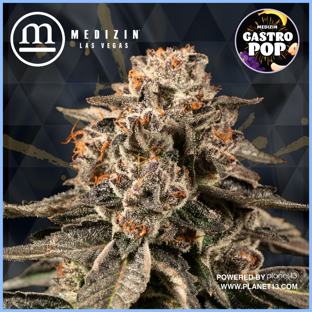 Photograph of product: Gastro Pop 3.5g Prepack