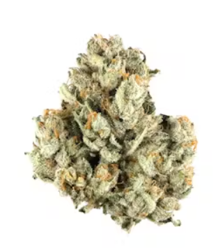 Photograph of product: Bold: Flower | Afghan Kush - 28g