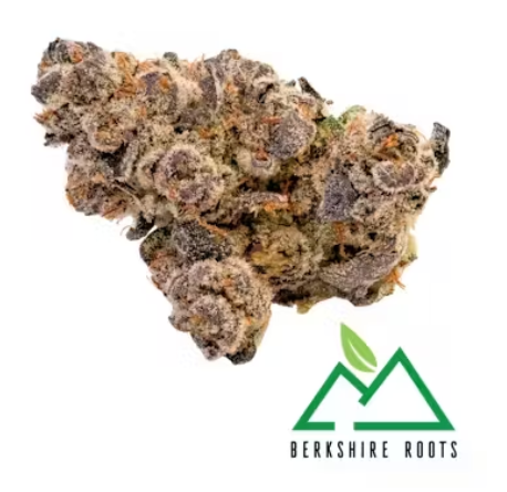 Photograph of product: Gorilla Noir | 28g