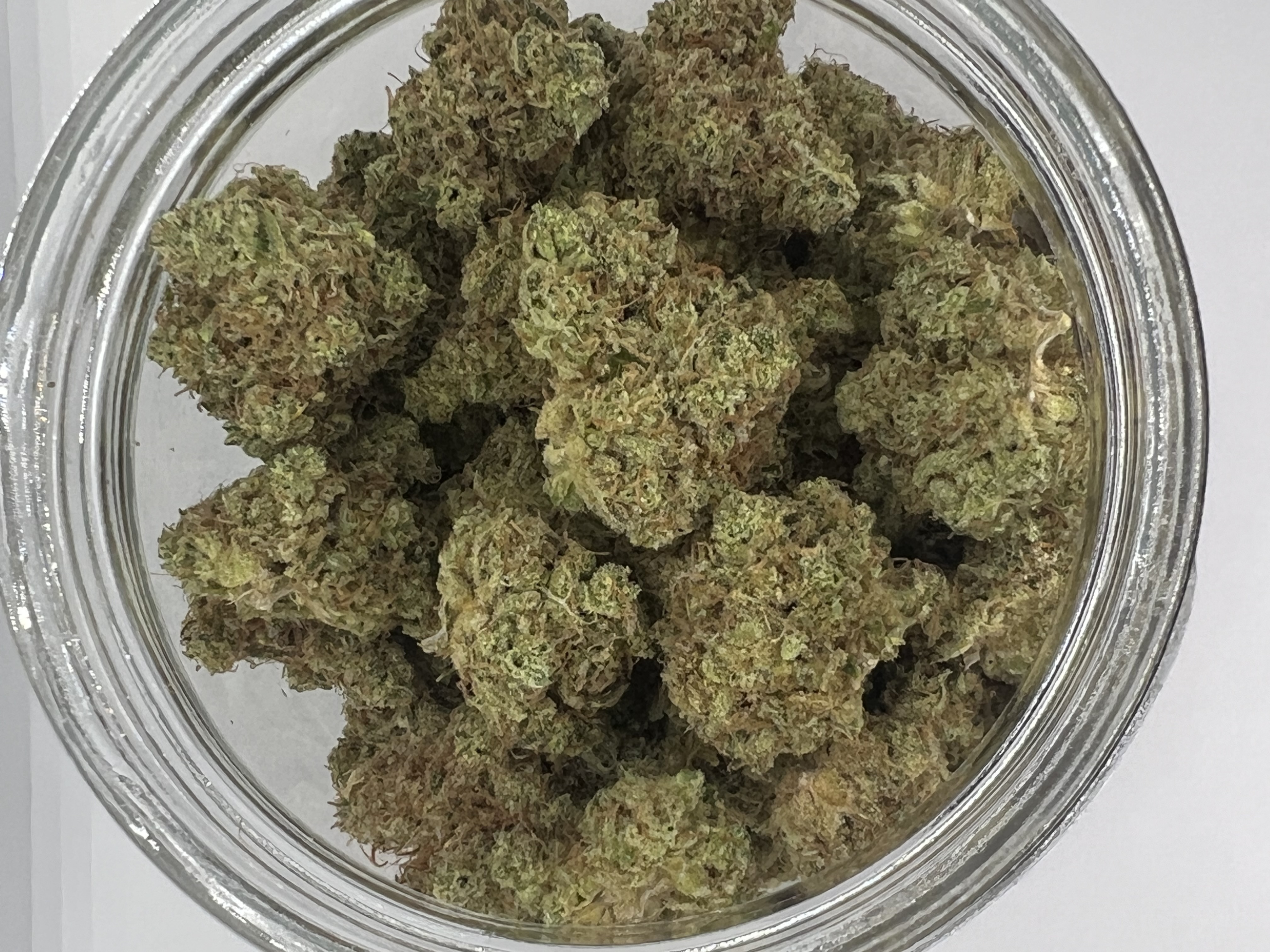 Photograph of product: Firebird | Harvested: 03/08/2025 - 28g