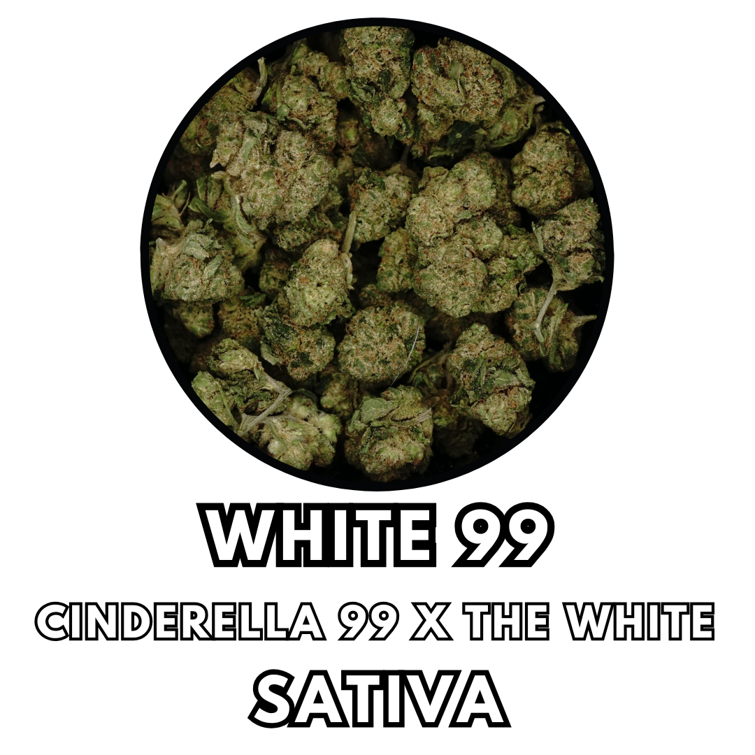 Photograph of product: Flower - White 99 - Tier 2 - 28g