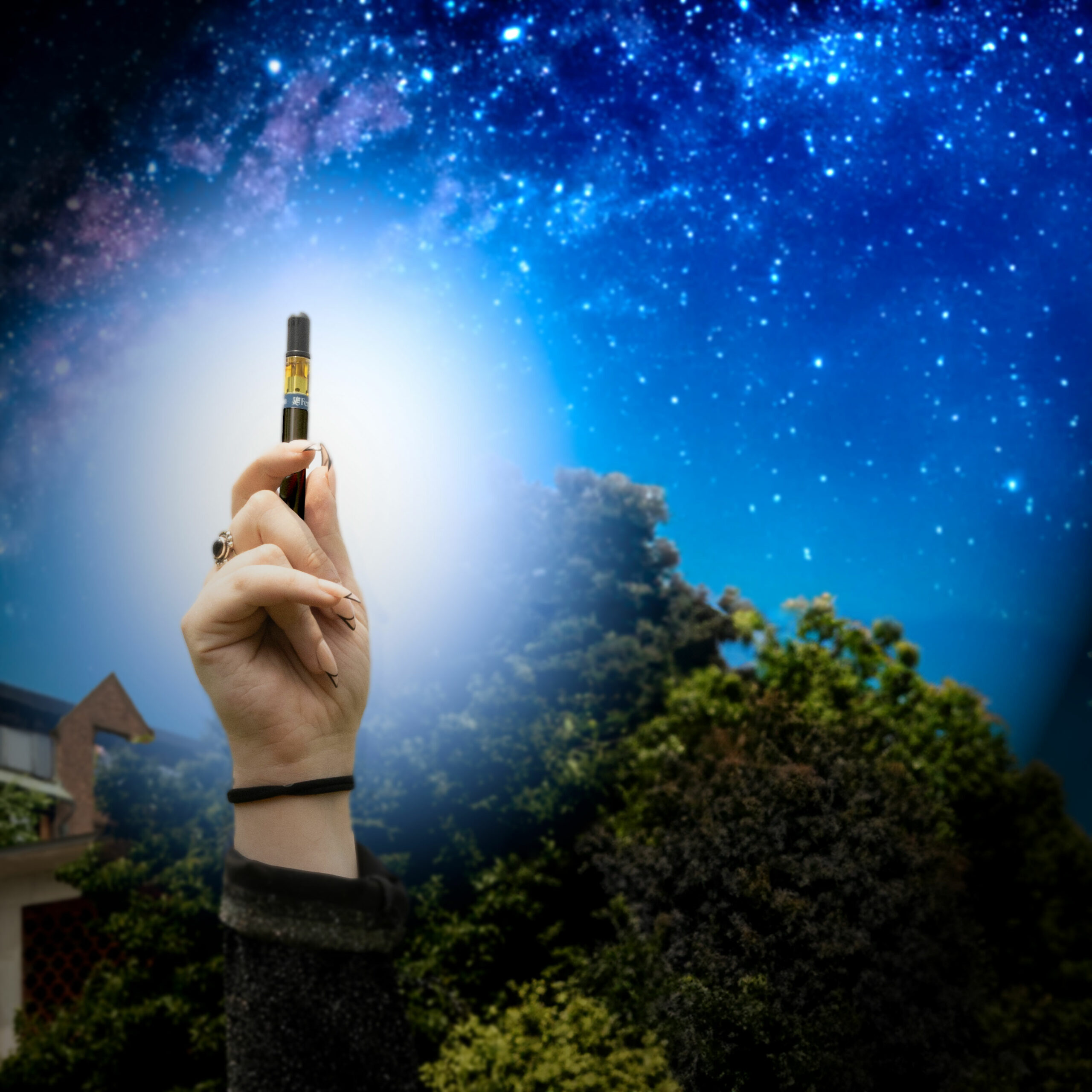Photograph of product: Space Queen Vape Cart- Fernway