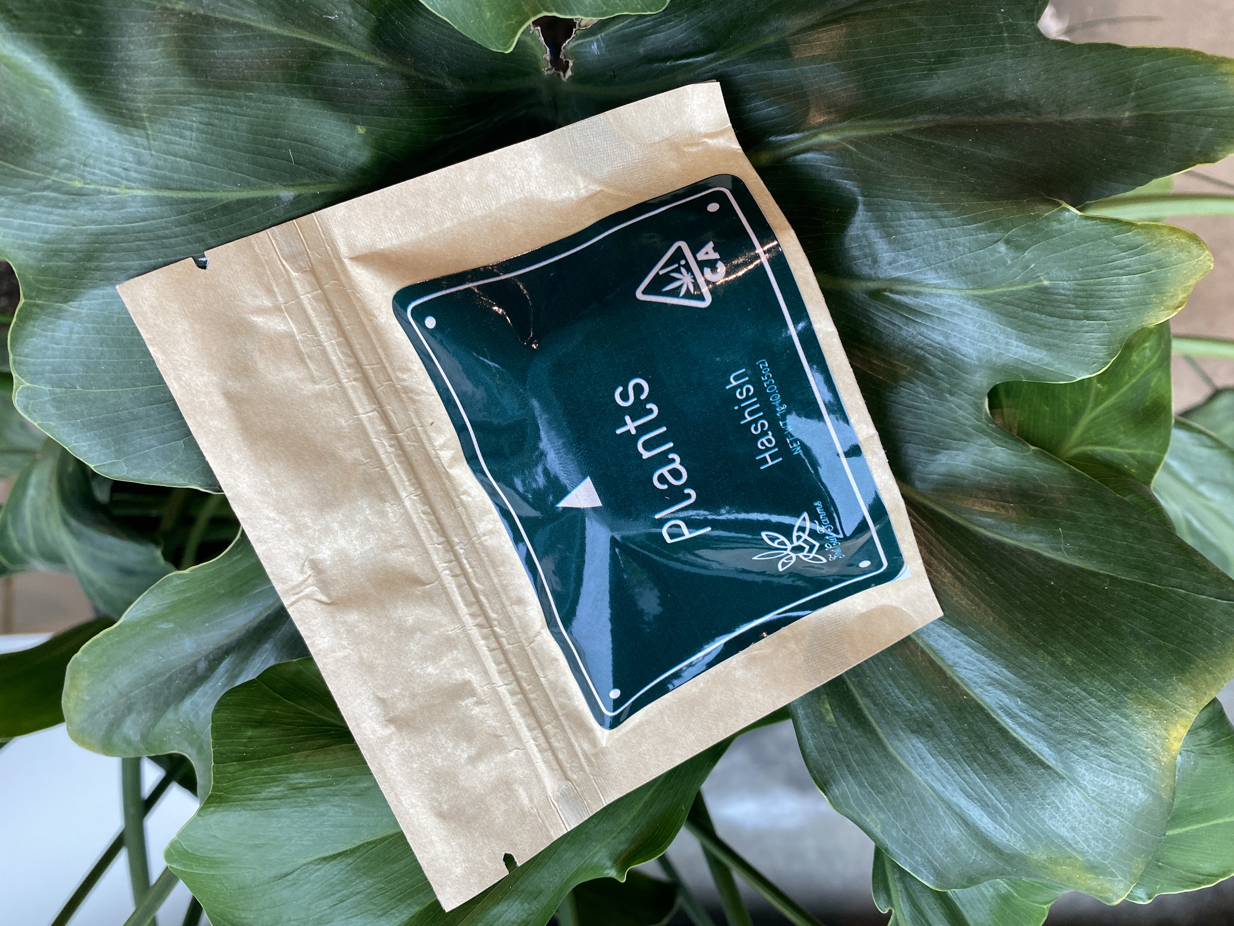 Photograph of product: GOD'S BREATH