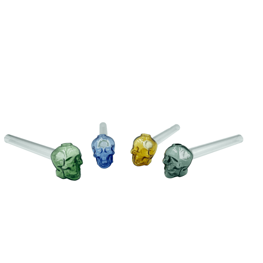 Photograph of product: 6" Skull Shaped Oil Burners