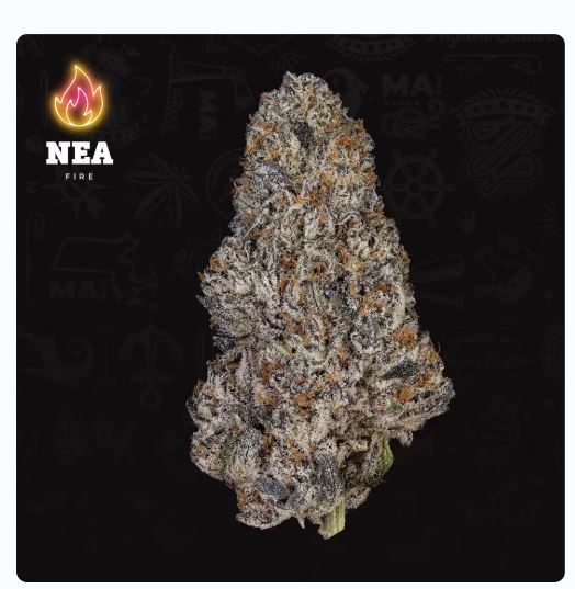Photograph of product: Trufflegasm Buds - 3.5g
