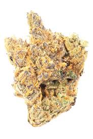 Photograph of product: Baseline | Garlic Lecrem 3.5g