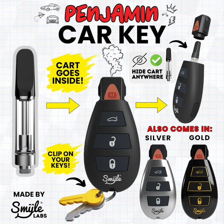 Photograph of product: Battery - SMYLE Penjamin Car Key 510 Thread - Assorted Colors