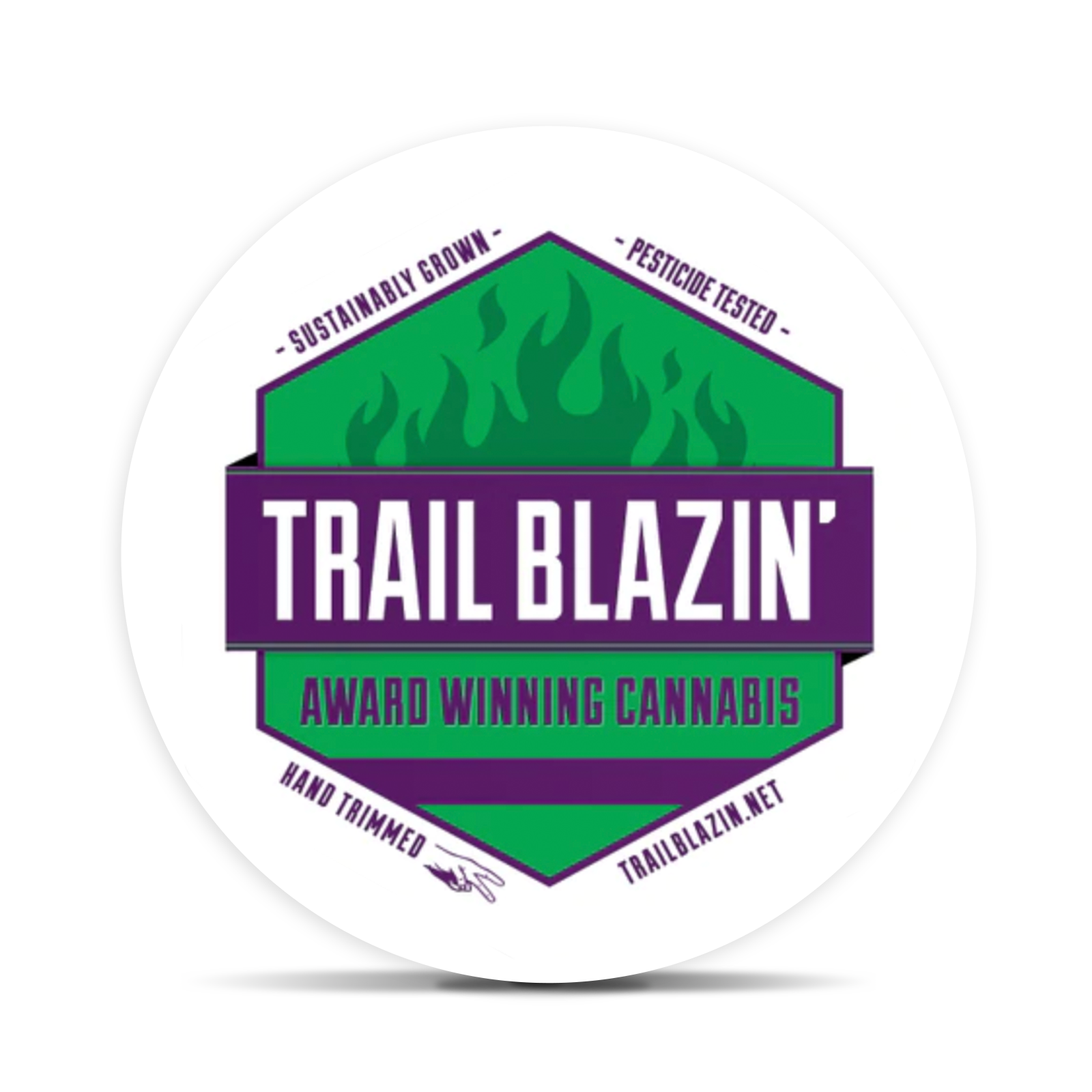Logo for img-fluid: Trail Blazin'
