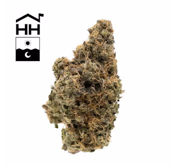 Photograph of product: Harbor House Black Maple - 3.5g