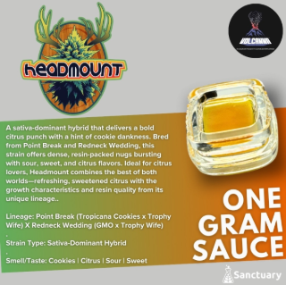 Photograph of product: Headmount Sauce (1g)