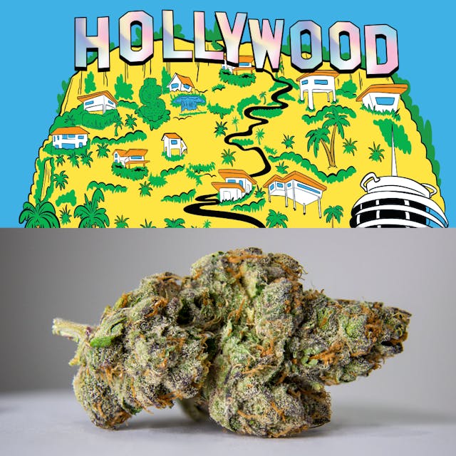 Photograph of product: Hollywood 3.5G - 