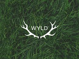 Photograph of product: Wyld | Elderberry | 2:1 CBN Gummies | 100MG |