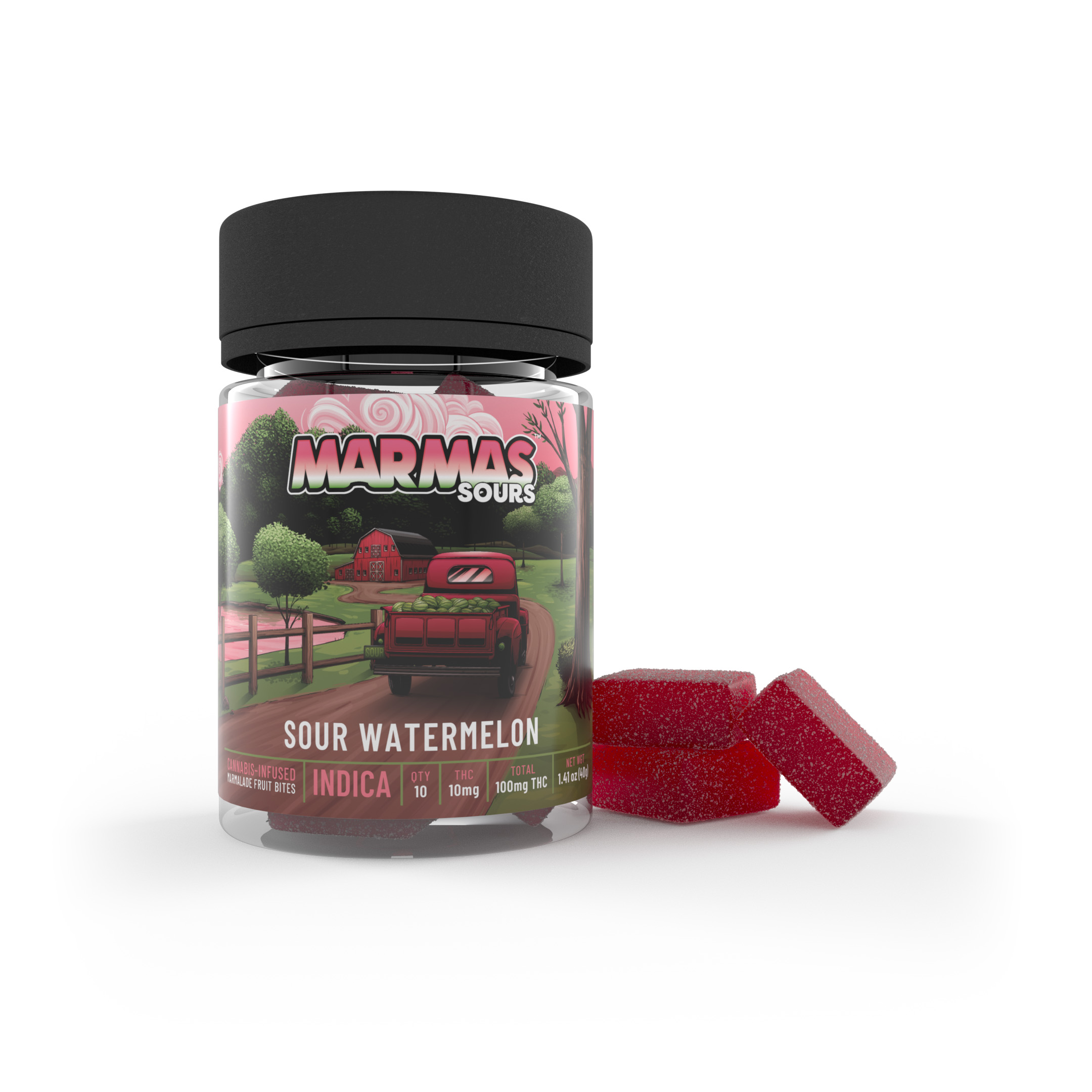 Photograph of product: Sour Watermelon Gummies | 10-pack