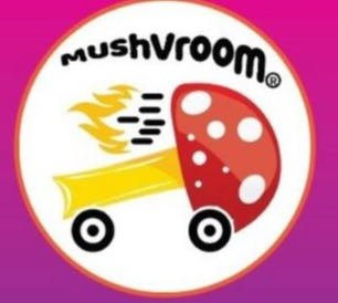 Photograph of product: Mushvroom - Cordyceps + CBD 1:1 2000mg Tincture
