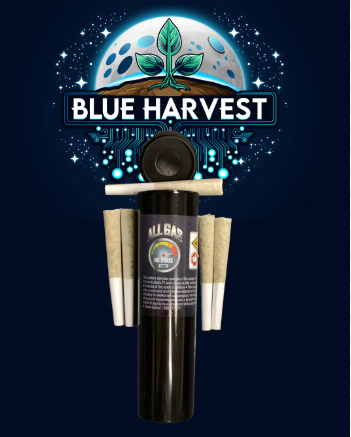 Photograph of product: Blue Harvest Candy Bonez PR (5pk) 2.5g