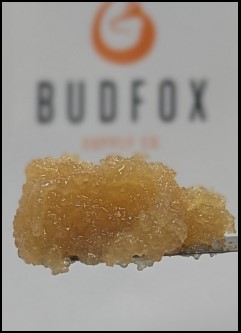 Photograph of product: Bud Fox | 2g Sugar Wax | Topanga Canyon (H)