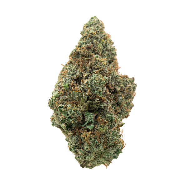 Photograph of product: Society C Black Maple Buds - 28g