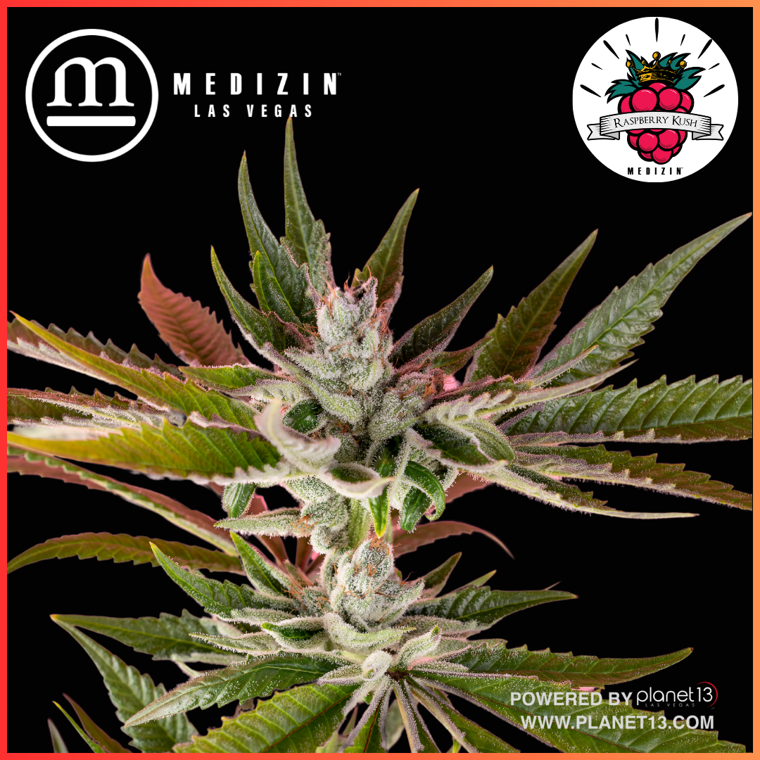 Photograph of product: Raz 3.5g Prepack