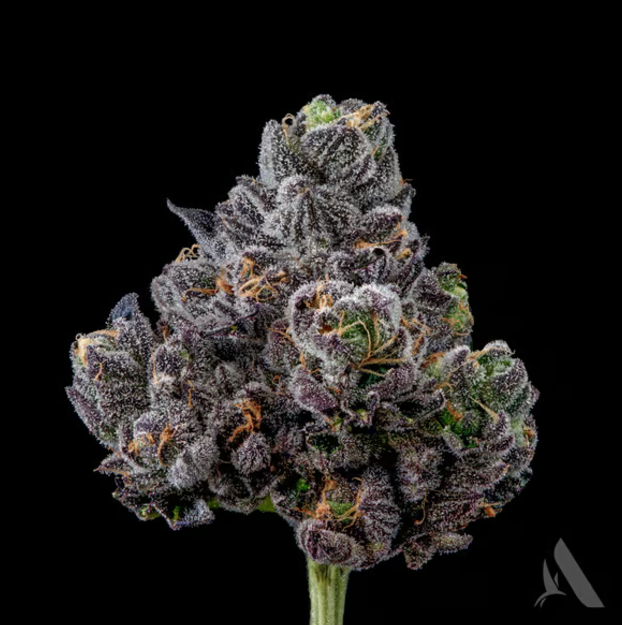 Photograph of product: Appz Bnnz | Pre-Pack Smalls | 3.5g | 00605