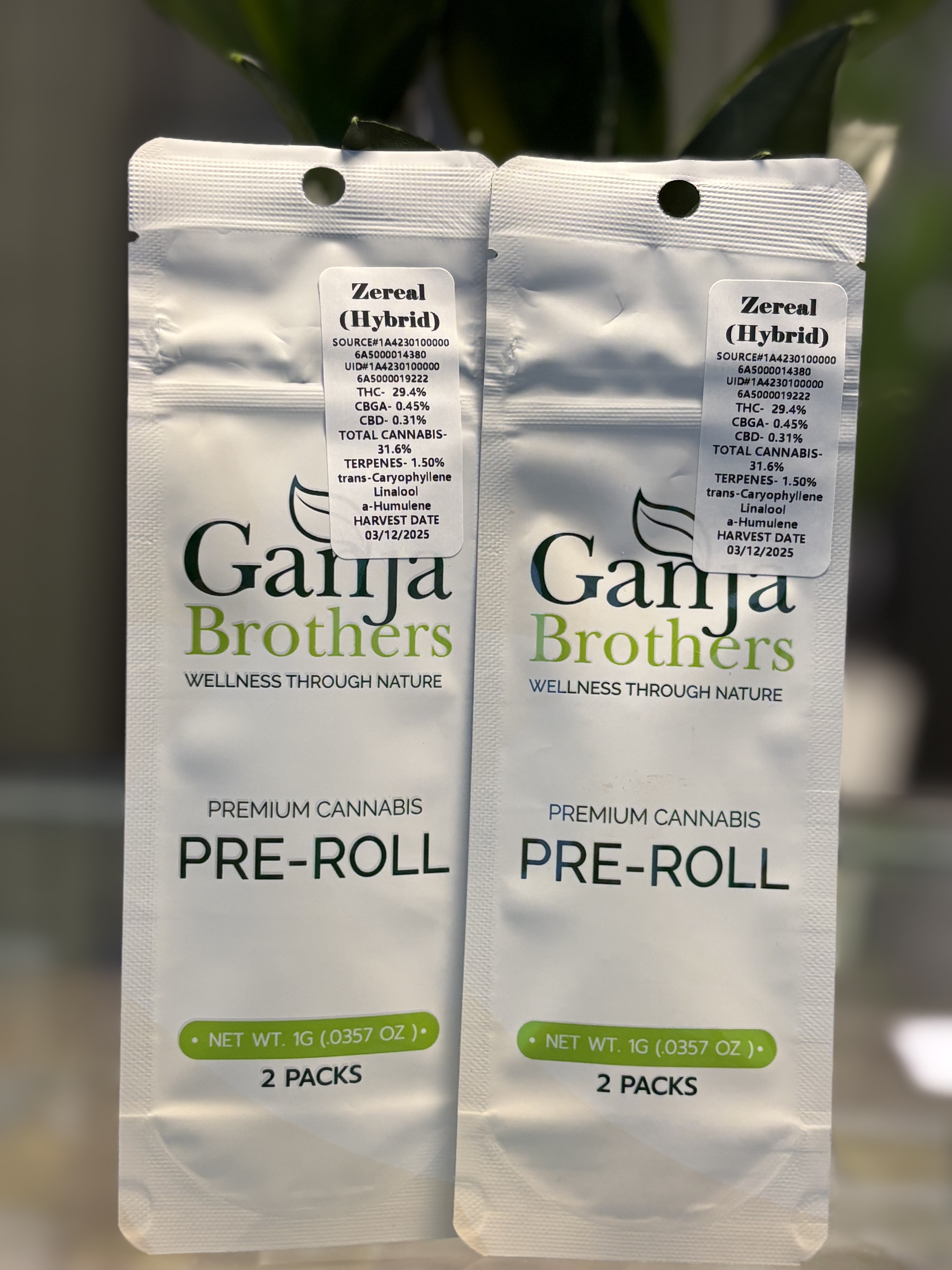 Photograph of product: Mag High | 1g | Zereal