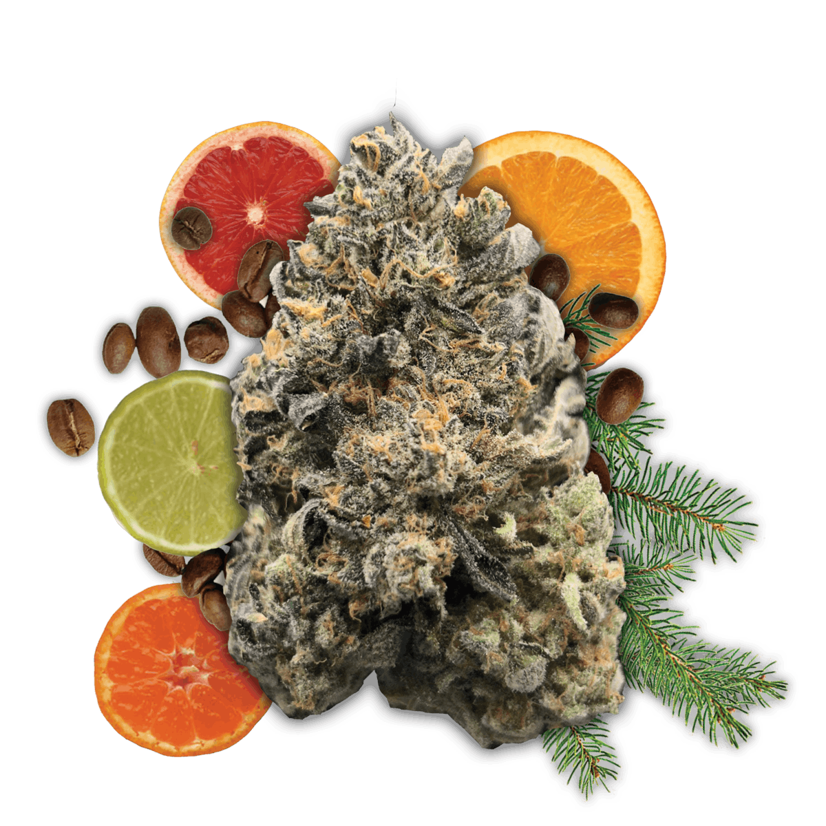 Photograph of product: Big River | Gangsta Boo - 3.5g