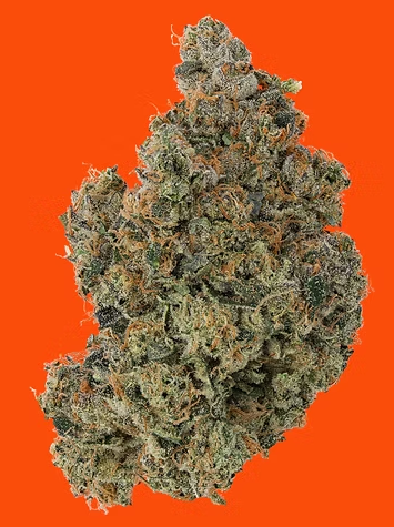 Photograph of product: #23 | Premium Flower | 3.5g