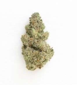 Photograph of product: The Pass | Jungle Pie (TAX INCLUDED) - 3.5g