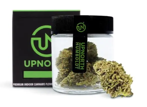 Photograph of product: UpNorth | Flower | NF-1 | 3.5g