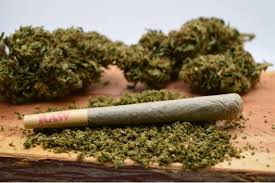 Photograph of product: OG Gardens - Cherry Lime Slushie - Joint
