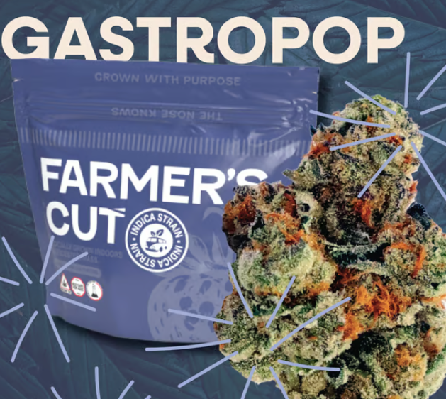 Photograph of product: Gastro Pop #4 | 3.5g