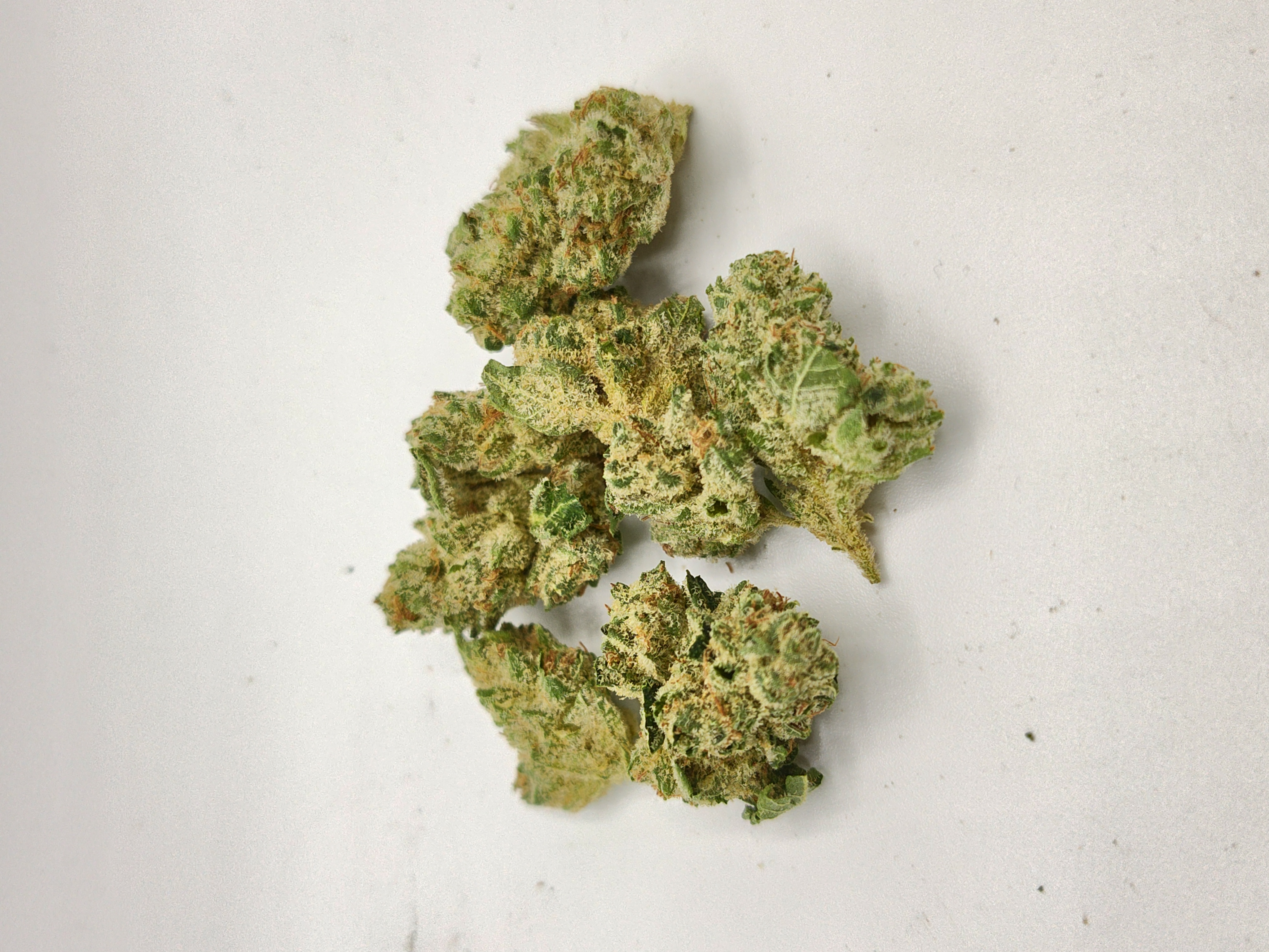 Photograph of product: Sticky Larry | High Life Farms - 1g