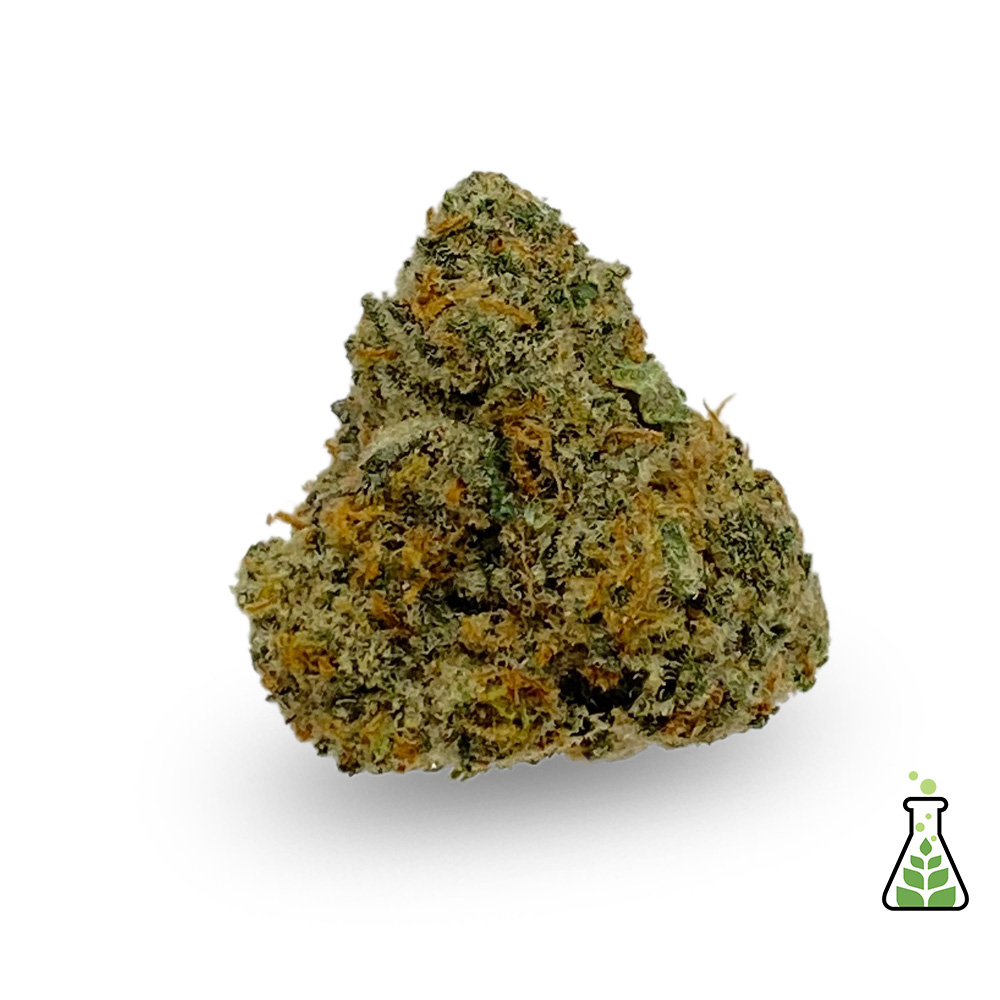 Photograph of product: Codes Spumoni Cookies Flower | 3.5g