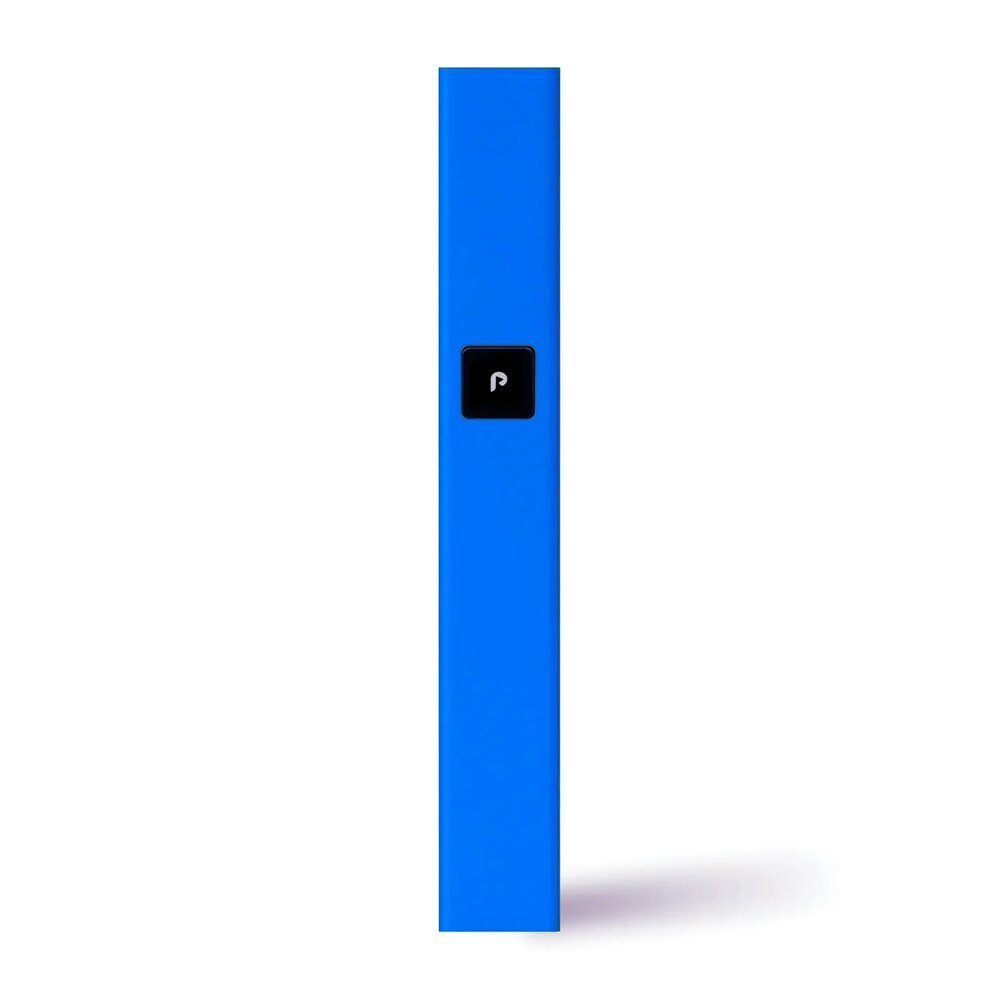 Photograph of product: PLUG N PLAY: BLUE STEEL BATTERY