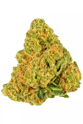 Photograph of product: Top Shelf - Lemon Oreoz (S) - 3.5g