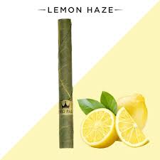 Photograph of product: Lemon Haze | Blunt Wrap | King Palm