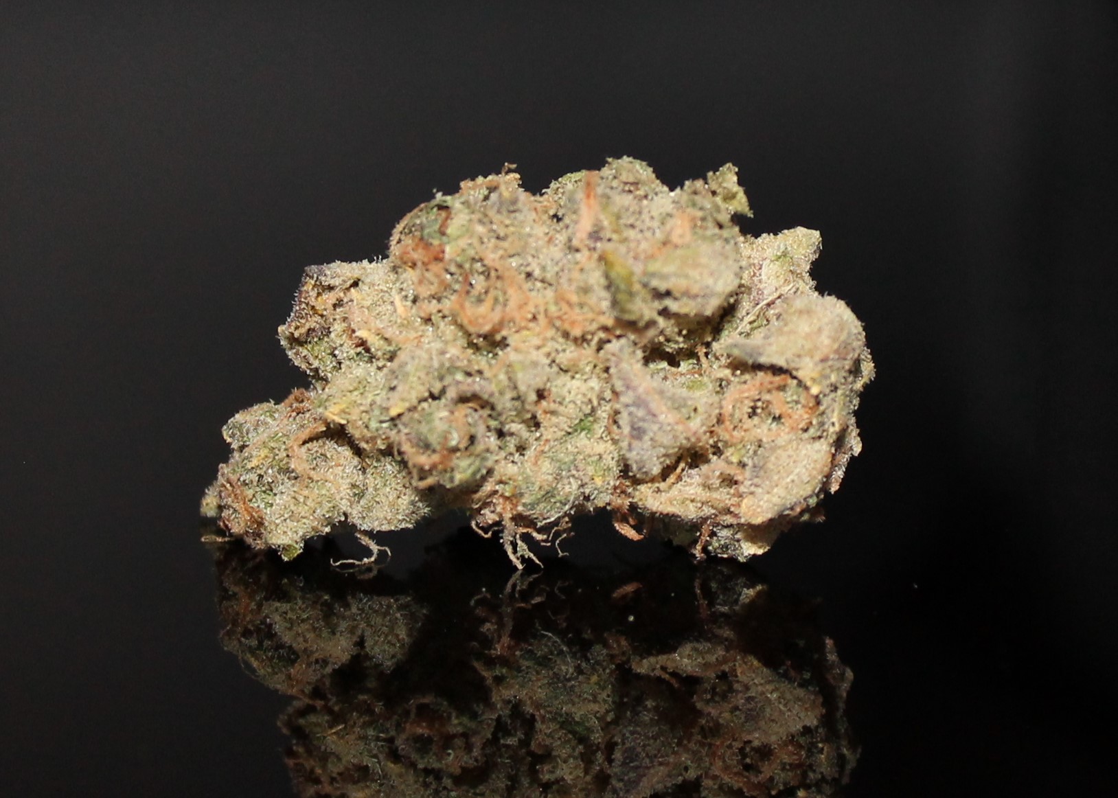 Photograph of product: Flower | Craven OG - 3.5g