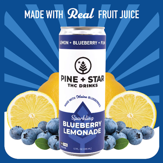 Photograph of product: Blueberry Lemonade Sparkling Soda | Beverage