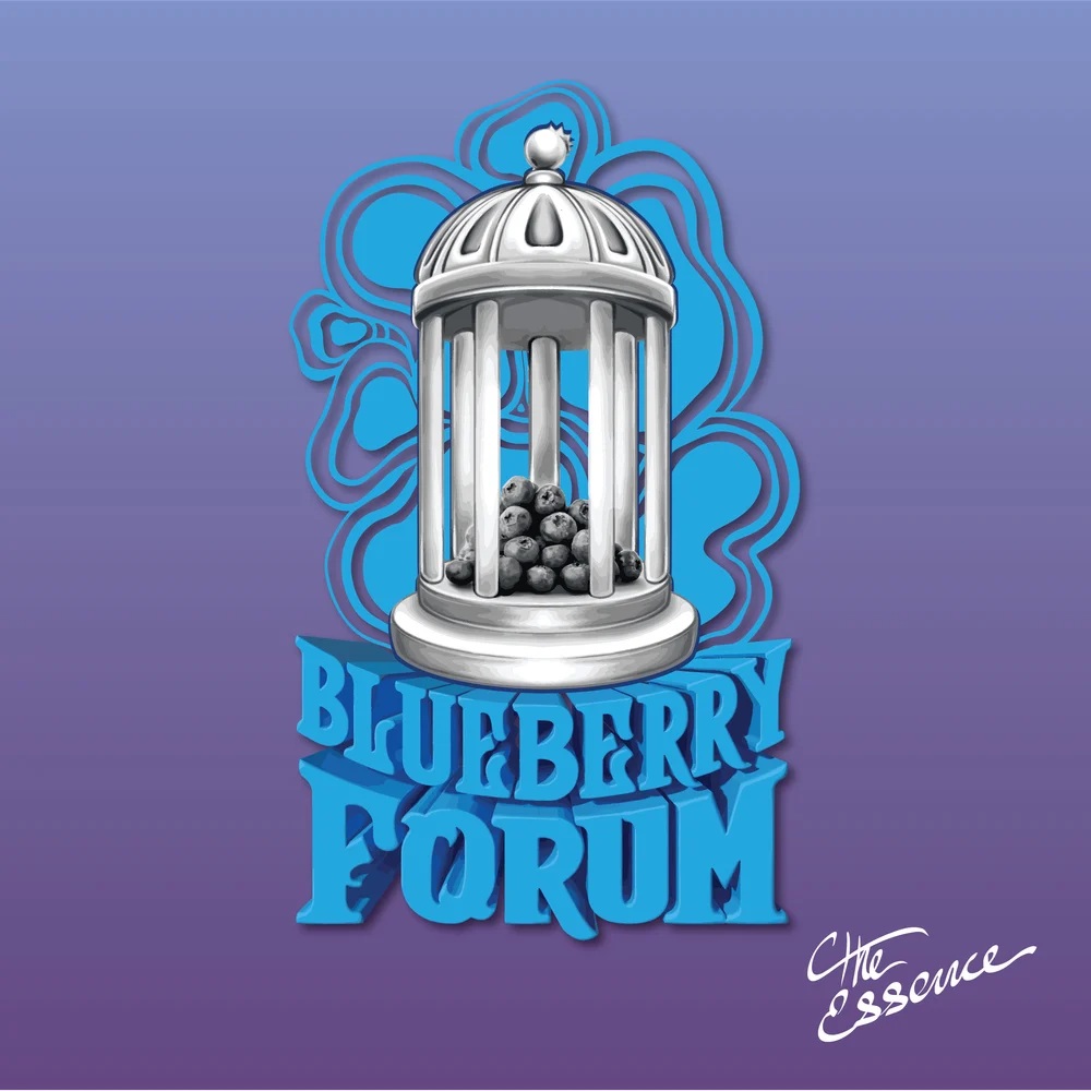 Photograph of product: Premium Shelf Verano Essence Blueberry Forum (I) - 3.5g
