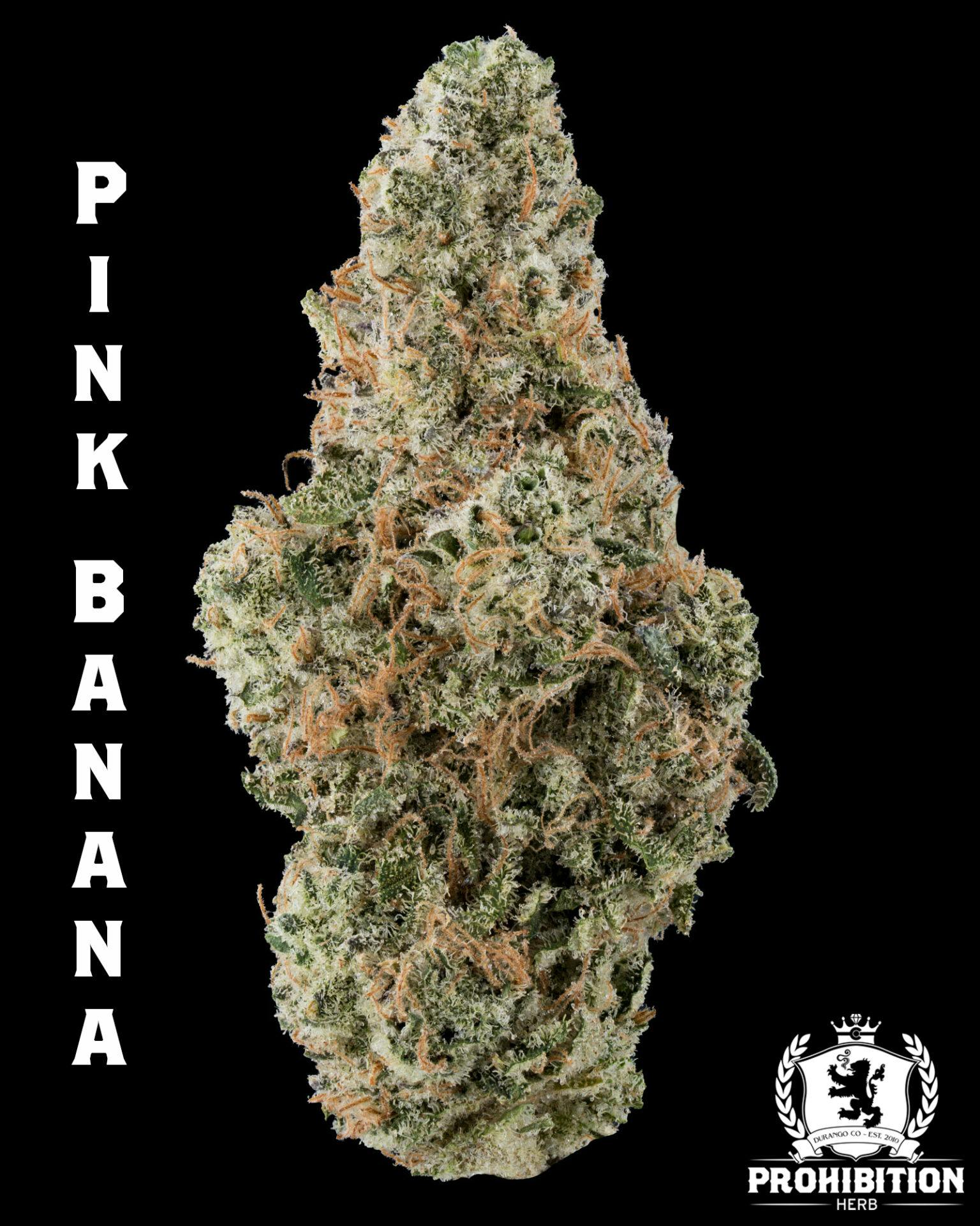 Photograph of product: Pink Banana