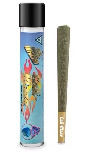 Photograph of product: AU Cali-Blaze: Blue Muffin 1g Tarantula