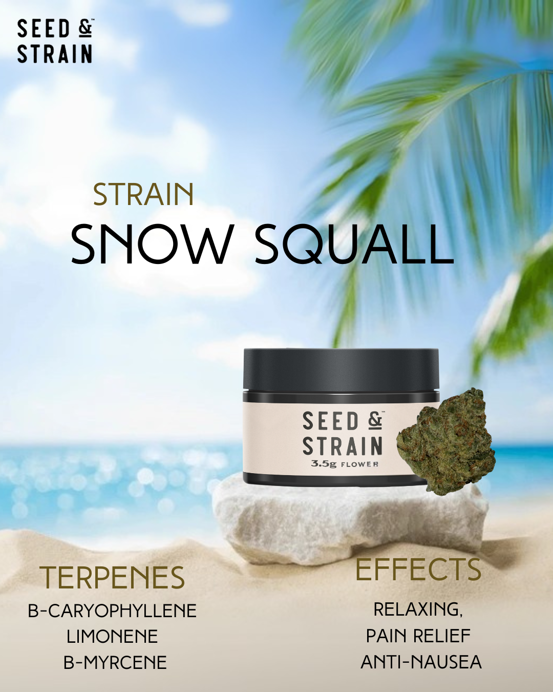 Photograph of product: SS - Snow Squall - 3.5g