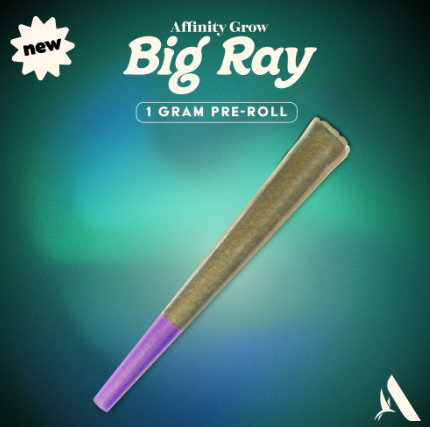 Photograph of product: Capy Big Ray 1g Pre Roll (H) 00521