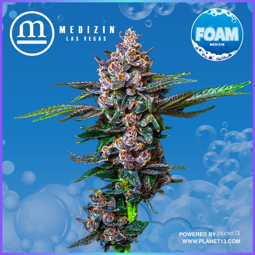 Photograph of product: Foam 3.5g Prepack